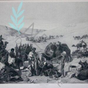 Le Puits De Birsabé (Désert D’Hébron)