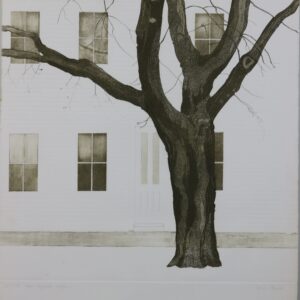 New England Maple