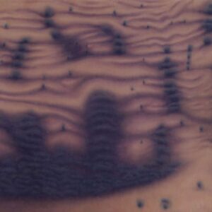 Dwelling in the Dunes