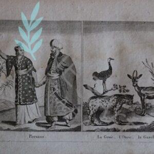 Persans - La Grue, L'Osée, la Gazelle